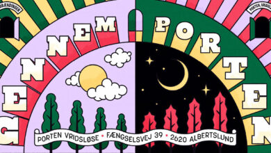 Gennem Porten