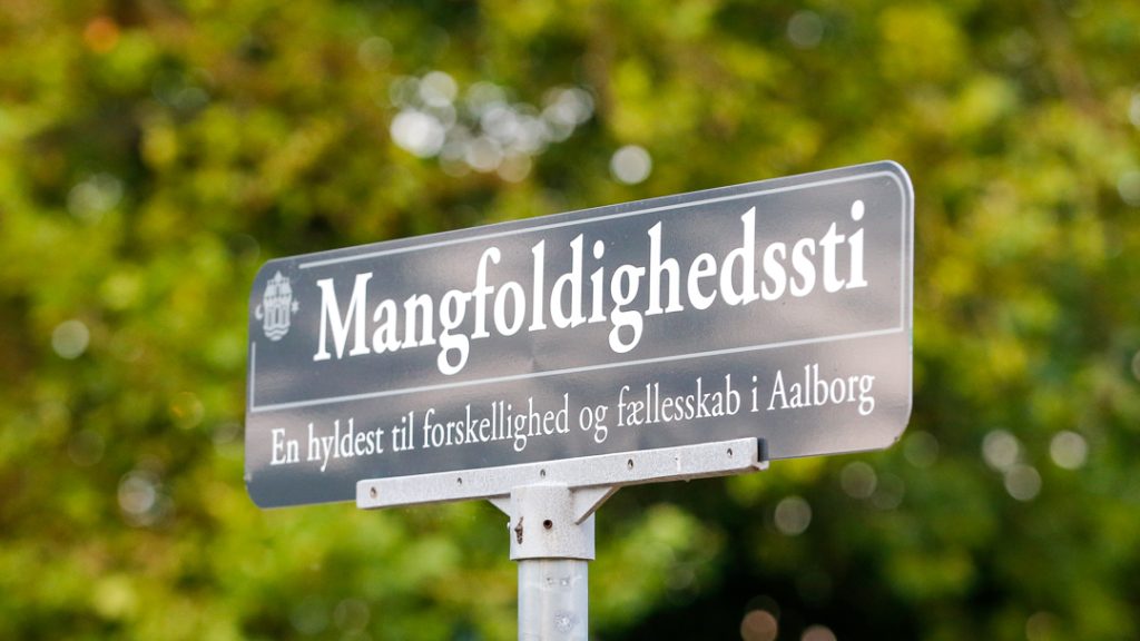 Berg 170726 Fredagsfest Aalborg MG 02